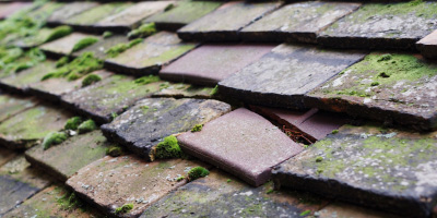 Lower Bacombe roof repair costs